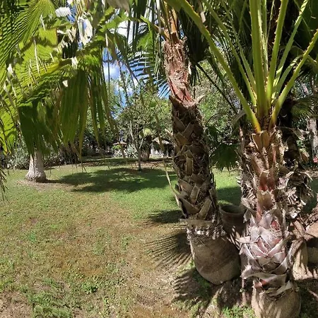 酒店 Les Jardins Du Patriarche