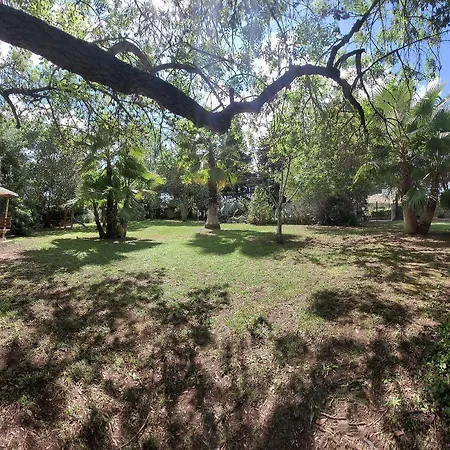 Les Jardins Du Patriarche 酒店 2*