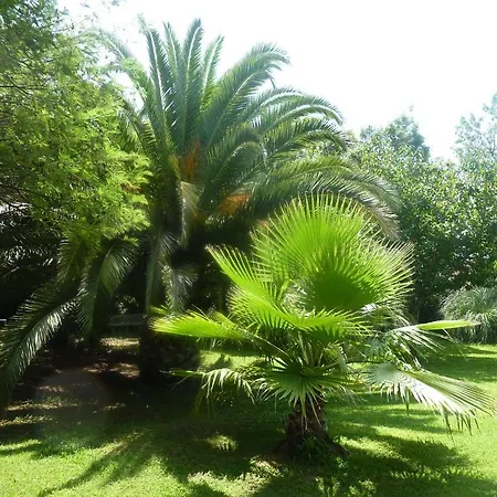 Les Jardins Du Patriarche 2*