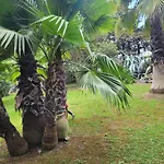 Les Jardins Du Patriarche ホテル アグド