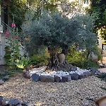 Les Jardins Du Patriarche 2* アグド