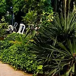 ホテル Les Jardins Du Patriarche アグド
