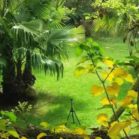 Les Jardins Du Patriarche 酒店 阿格德