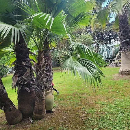 Les Jardins Du Patriarche 酒店 阿格德