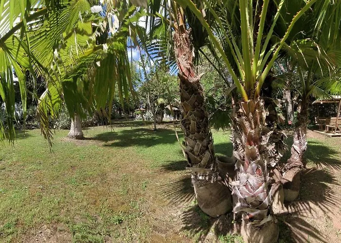 ホテル Les Jardins Du Patriarche