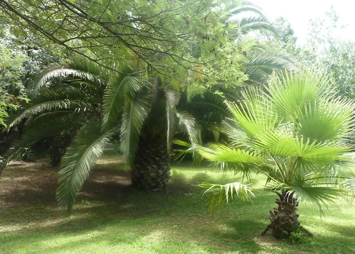 ホテル Les Jardins Du Patriarche 2*