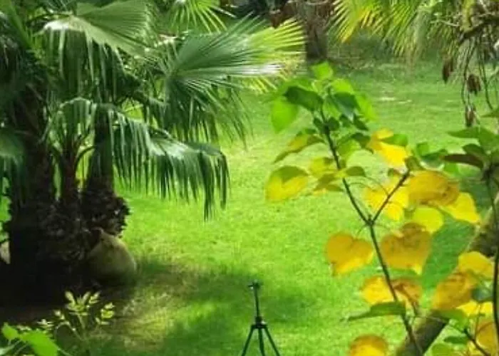 Les Jardins Du Patriarche 호텔 아그