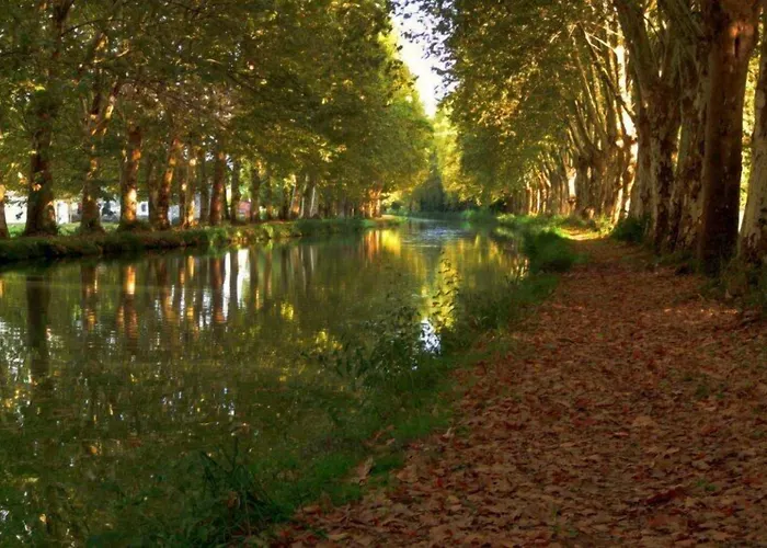 Les Jardins Du Patriarche 호텔 2*