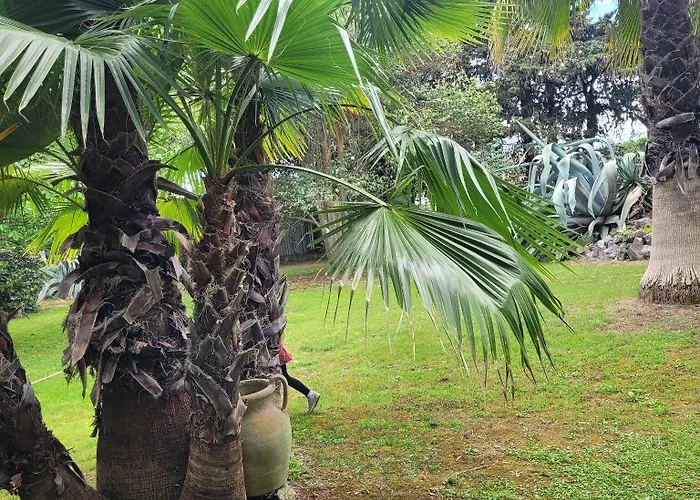 Les Jardins Du Patriarche ホテル アグド