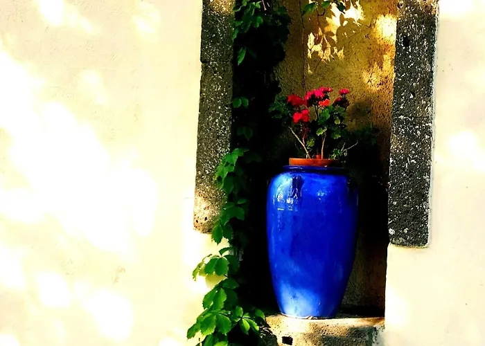 ホテル Les Jardins Du Patriarche