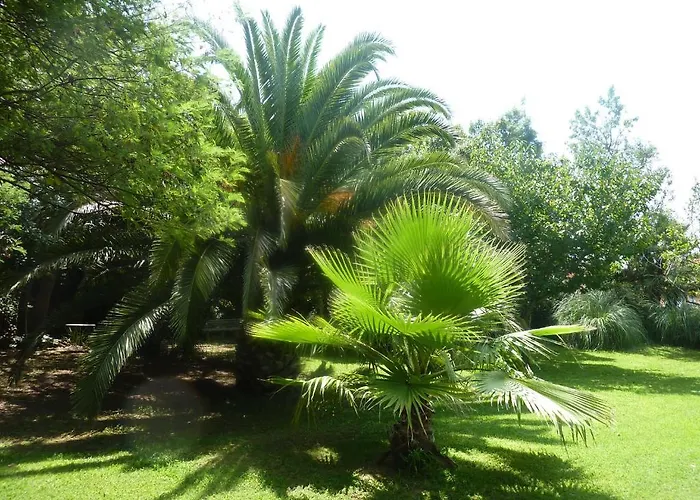 Les Jardins Du Patriarche 2*